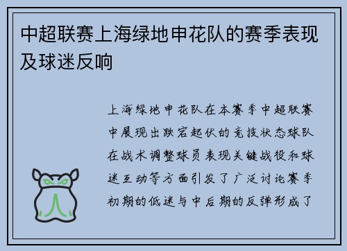 中超联赛上海绿地申花队的赛季表现及球迷反响